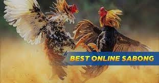 best online sabong, xgbet online casino